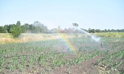 Edirne'de kapalı devre sulama sistemiyle 4 bin dekarlık tarım arazisi suyla buluşturuldu