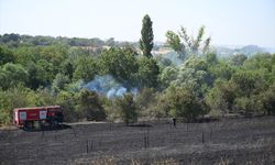 Edirne'de üniversitenin botanik bahçesinde  çıkan yangın söndürüldü