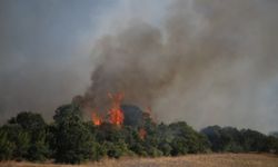 GÜNCELLEME - Çanakkale'de tarım arazisinde çıkıp ormanlık alana sıçrayan yangın kısmen kontrol altına alındı