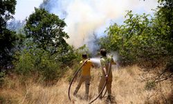 GÜNCELLEME - Kırklareli’nde ağaçlık alana sıçrayan yangın kontrol altına alındı