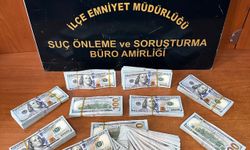 İzmir'de gayrimenkul satışı bahanesiyle dolandırıcılık yapan Iraklı şüpheli Bursa'da yakalandı