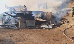 Kocaeli'de ahır yangınında 1 kişi yaralandı