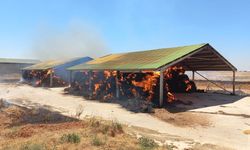 Lüleburgaz'da çiftlikte çıkan yangın söndürüldü