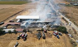 Tekirdağ'da bir çiftlikte çıkan yangında 15 bin saman balyası yandı