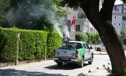 Bursa’da yetersiz ilaçlama, sinek istilasına kapı aralıyor