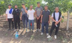 Edirne'de 7 göçmen yakalandı