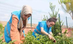 Adana Gençlik Merkezi üretiyor, çocuklar afiyetle yiyor