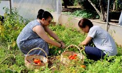 Adana’da ruh sağlığı tedavisi görenler tarımla terapi oluyor