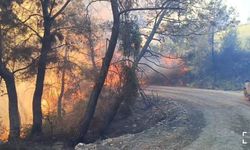 Adana’daki orman yangınında 10 ev tedbir amaçlı tahliye edildi