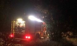 Ağaç köküne takılarak devrilen traktörün sürücüsü hayatını kaybetti