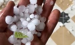 Akhisar’da etkili olan dolu yağışı ürünlere zarar verdi