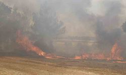 Antalya Aksu’daki orman yangını kontrol altına alındı