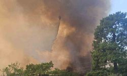 Antalya’da orman yangınına havadan ve karadan müdahale
