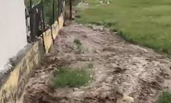 Ardahan’da sağanak sele neden oldu; Evleri su bastı, tarım arazileri zarar gördü