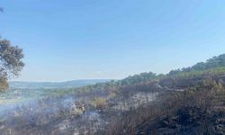 Ayvacık’taki orman yangınını kontrol altına alma çalışmaları devam ediyor