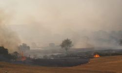 Balıkesir’de orman yangını: Havadan ve karadan müdahale sürüyor