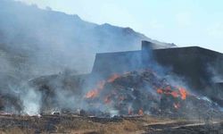 Bandırma’da yangın: Bin dönüm otluk alan yandı