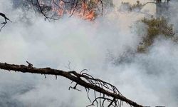 Başkarcı Dağında yıldırım düşmesi sonucu çıkan orman yangını söndürüldü