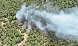 Bayramiç’teki orman yangını 24 saat sonra kontrol altına alındı