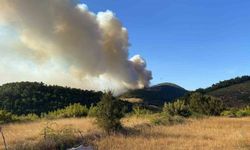 Bayramiç’teki orman yangını kontrol altına alındı, 420 futbol sahası büyüklüğünde alan küle döndü