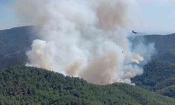 Bergama’daki orman yangına havadan ve karadan müdahale