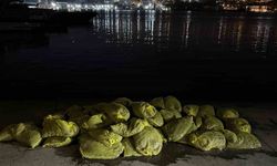 Beyoğlu’nda 1,5 ton kaçak midye ele geçirildi