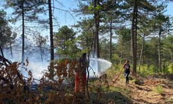 Bilecik’te dün başlayan orman yangınında 4 dekar alan kül oldu