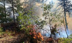 Bilecik’te korkutan orman yangını rüzgarın etkisiyle büyüyor