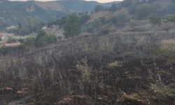 Bingöl’de otluk alandaki yangın ormana sıçramadan söndürüldü