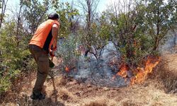 Bingöl’deki orman yangınları söndürüldü