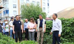 Bitlis’te ‘Okuldaki çiftlik’ projesi