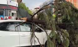 Burdur’da fırtınada kırılan ağaç aracın üzerine devrildi