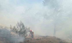 Burhaniye’deki orman yangını kısa sürede kontrol altına alındı