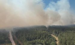 Bursa’da çıkan orman yangınıyla ilgili Cumhuriyet Başsavcılığı soruşturma başlattı