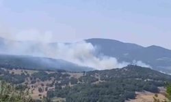Bursa’da orman yangını çıktı, havadan ve karadan müdahaleler başladı