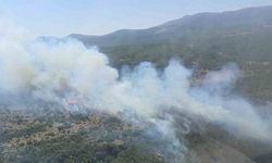 Bursa’da orman yangınına havadan ve karadan müdahale sürüyor