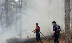 Büyükşehir Belediyesi yangınlara anında müdahale etti