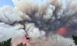 California’nın en büyük orman yangını: 145 bin dönümden fazla alan kül oldu