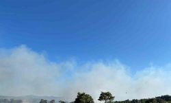 Çanakkale’de orman yangını: Havadan ve karadan müdahale ediliyor