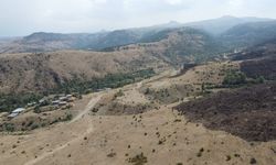 Dağlık alanda çıkan yangında 75 hektar alan zarar gördü