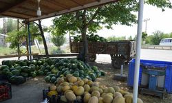 Doğu’nun Çukurova’sından çevre illere sebze ve meyve satılıyor