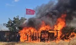 Edirne’de ağıl ve tarım arazileri alev alev yandı