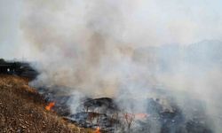 Edirne’de anız yangını mahalleliye büyük korku yaşattı