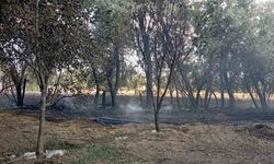Elazığ’da bahçede korkutan yangın