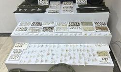 Elazığ’da endemik olduğu değerlendirilen bin 472 adet kelebek ele geçirildi