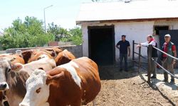 Erzincan Tarımdan küçük aile işletmelerine ziyaret
