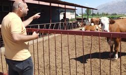 Erzincan’da hayvancılık işletmelerine sağlık taraması