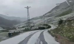 Erzurum’da dolu köyleri beyaza bürüdü