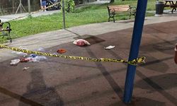 Eyüpsultan’da silahlı saldırı: Parkın ortasında 2 kişiyi silahla vurarak yaraladı
