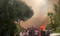 Foça’daki orman yangınına havadan ve karadan müdahale